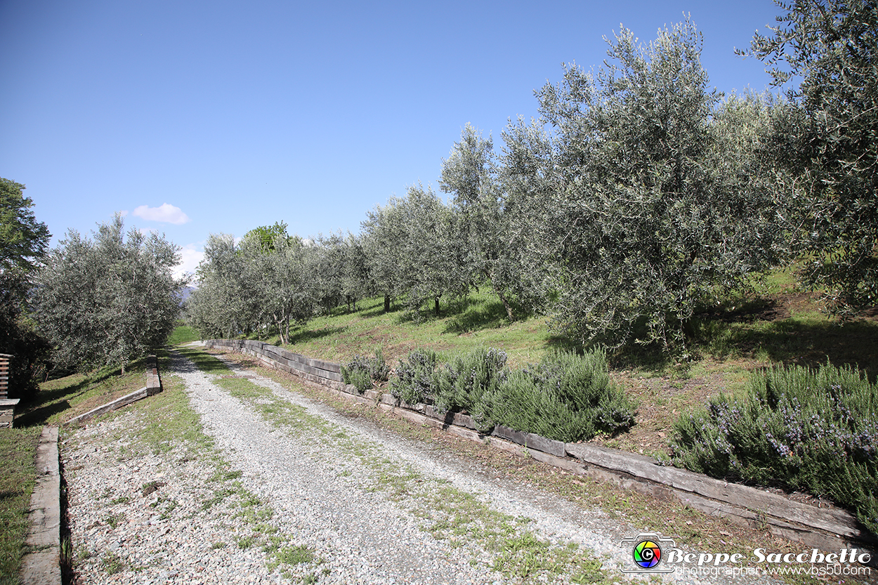 VBS_7176 - PressTour educational dedicato ai vini del Pinerolese e all’olio prodotto sulla collina di Pinerolo.jpg